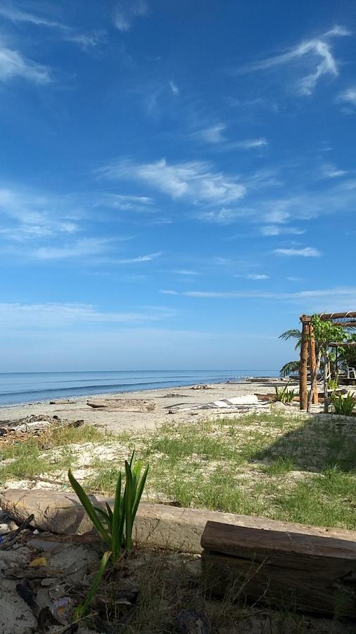 Urantia Beach Hostel & Camping San Onofre Eksteriør bilde
