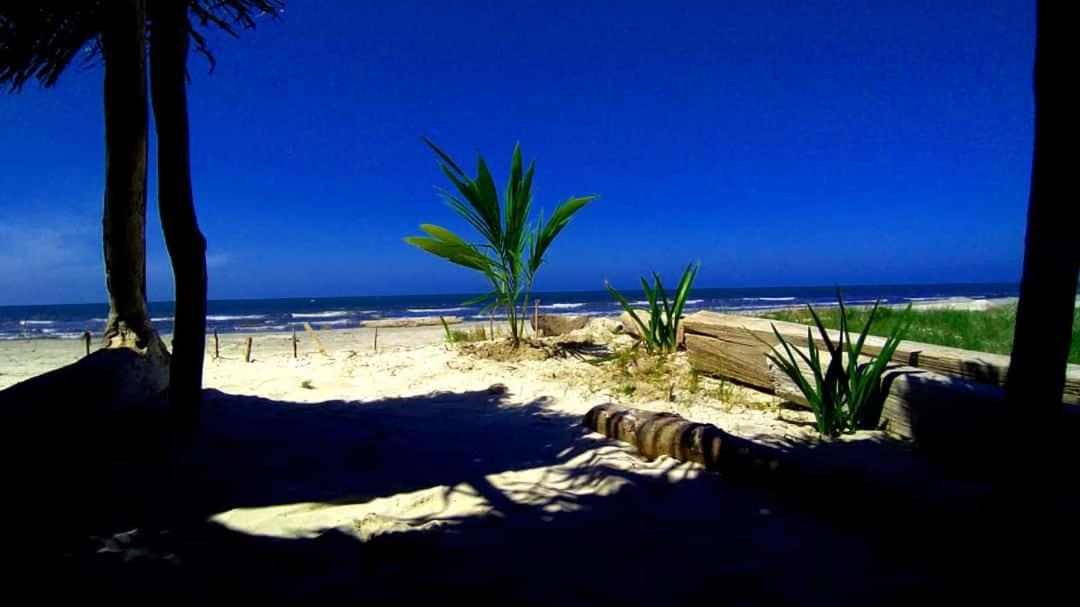 Urantia Beach Hostel & Camping San Onofre Eksteriør bilde